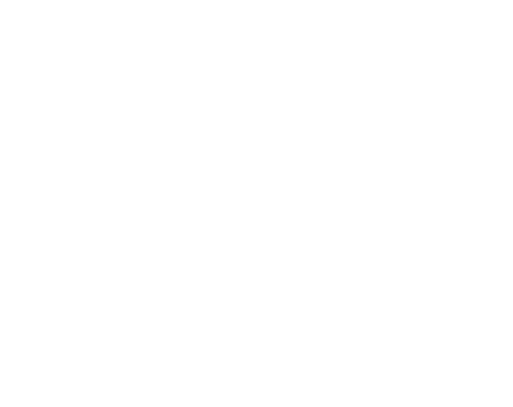 Logo Clever Pays